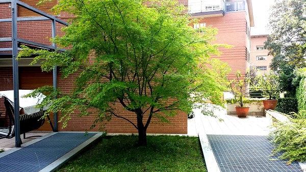 Preview Image 1